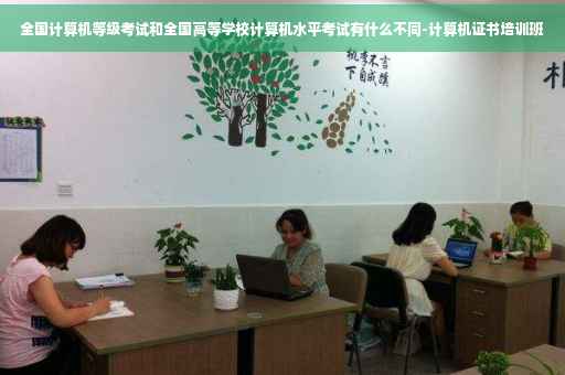全国计算机等级考试和全国高等学校计算机水平考试有什么不同-计算机证书培训班