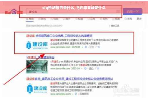 ciq检测报告是什么,飞达毕业证是什么