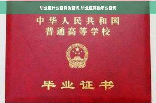 毕业证什么查真伪查询,毕业证真伪怎么查询