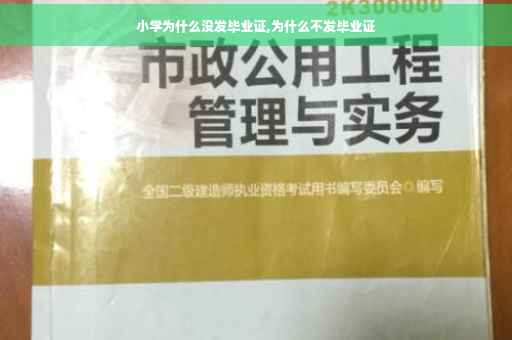 小学为什么没发毕业证,为什么不发毕业证