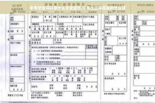 中专毕业可以拿什么毕业证书,中专上三年是发的什么证 中专毕业可以拿什么毕业证书,中专上三年是发的什么证