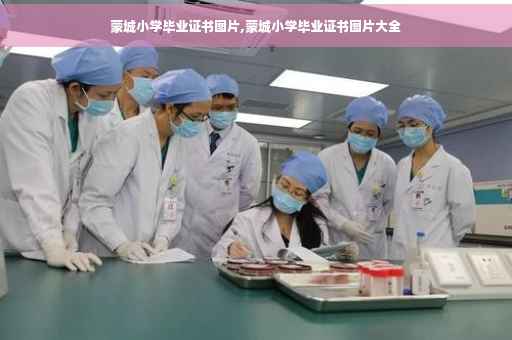 蒙城小学毕业证书图片,蒙城小学毕业证书图片大全