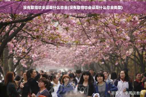 没有取得毕业证是什么毕业(没有取得毕业证是什么毕业类型)