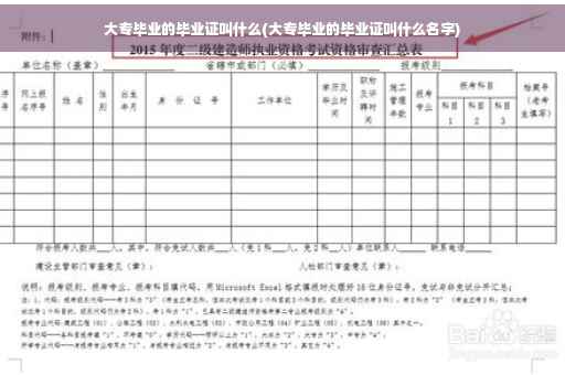 大专毕业的毕业证叫什么(大专毕业的毕业证叫什么名字)
