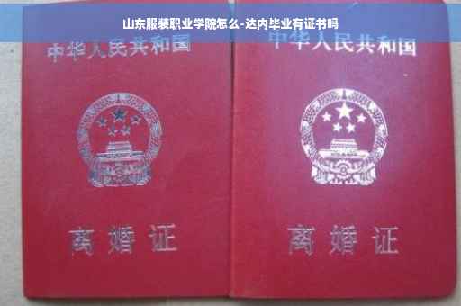 山东服装职业学院怎么-达内毕业有证书吗