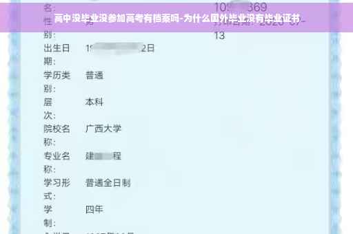 高中没毕业没参加高考有档案吗-为什么国外毕业没有毕业证书