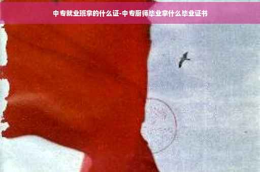 中专就业班拿的什么证-中专厨师毕业拿什么毕业证书