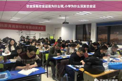 毕业没有毕业证是为什么呢,小学为什么没发毕业证