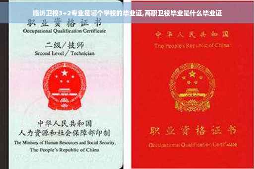 临沂卫校3+2专业是哪个学校的毕业证,高职卫校毕业是什么毕业证