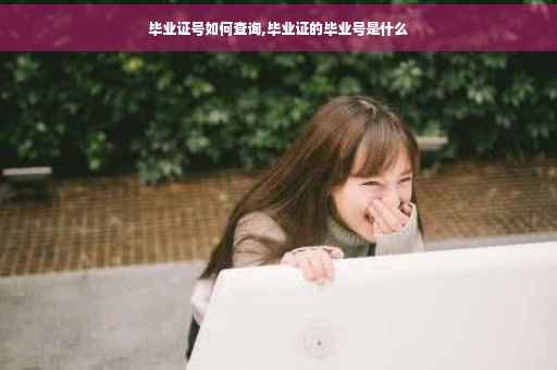 毕业证号如何查询,毕业证的毕业号是什么