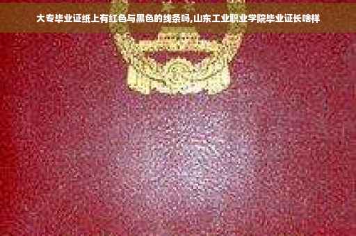 大专毕业证纸上有红色与黑色的线条吗,山东工业职业学院毕业证长啥样