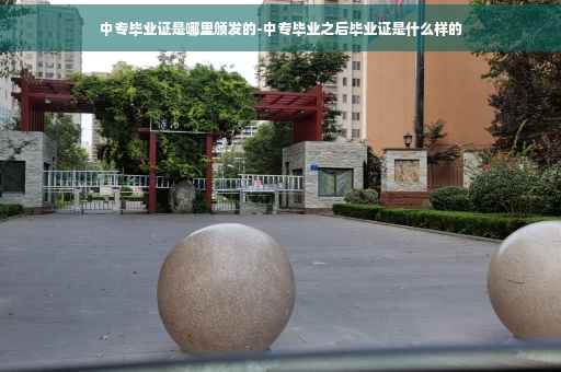 中专毕业证是哪里颁发的-中专毕业之后毕业证是什么样的