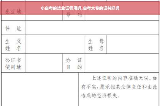 小自考的毕业证管用吗,自考大专的证书好吗