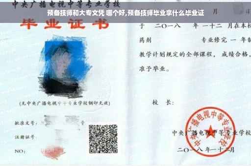 预备技师和大专文凭 哪个好,预备技师毕业拿什么毕业证