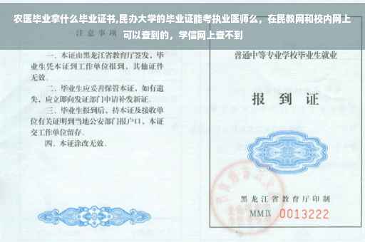 农医毕业拿什么毕业证书,民办大学的毕业证能考执业医师么，在民教网和校内网上可以查到的，学信网上查不到