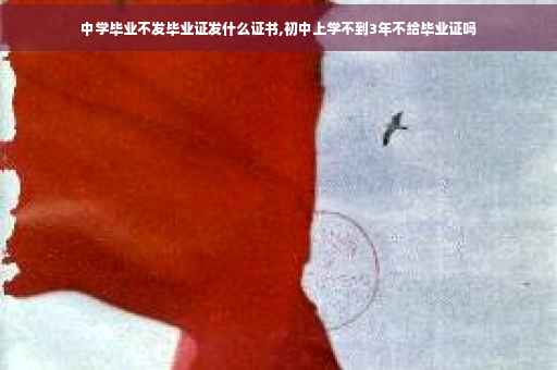 中学毕业不发毕业证发什么证书,初中上学不到3年不给毕业证吗