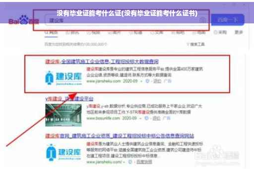 没有毕业证能考什么证(没有毕业证能考什么证书)