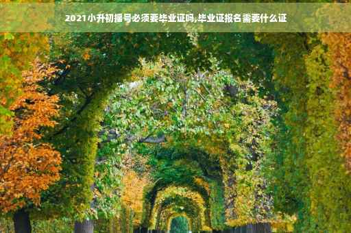 2021小升初摇号必须要毕业证吗,毕业证报名需要什么证