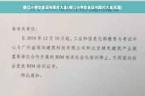 香江小学毕业证书图片大全(香江小学毕业证书图片大全高清)