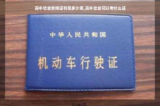 高中毕业资格证书是多少级,高中毕业可以考什么证