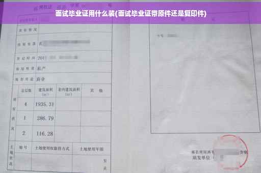 面试毕业证用什么装(面试毕业证带原件还是复印件)