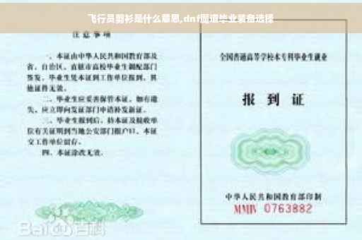 飞行员剪衫是什么意思,dnf魔道毕业装备选择