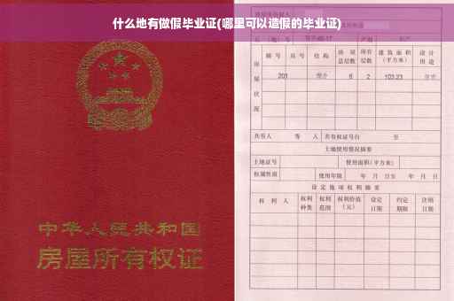 什么地有做假毕业证(哪里可以造假的毕业证)