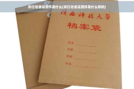 农行毕业证原件是什么(农行毕业证原件是什么样的)