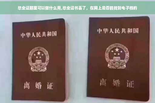 毕业证那里可以做什么用,毕业证书丢了，在网上是否能找到电子档的
