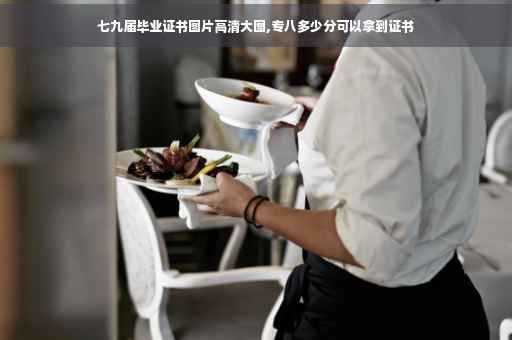 七九届毕业证书图片高清大图,专八多少分可以拿到证书
