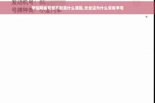 学信网编号查不到是什么原因,毕业证为什么没有学号