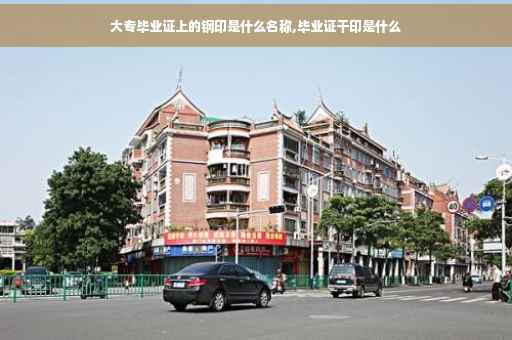 大专毕业证上的钢印是什么名称,毕业证干印是什么