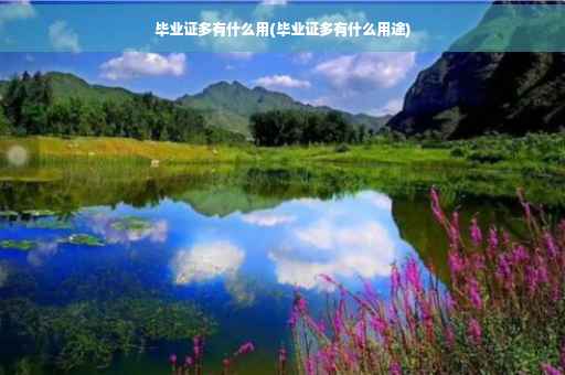毕业证多有什么用(毕业证多有什么用途)