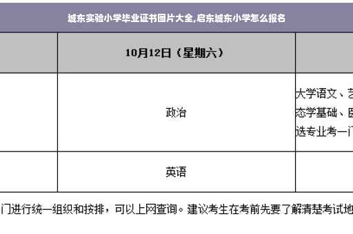 城东实验小学毕业证书图片大全,启东城东小学怎么报名