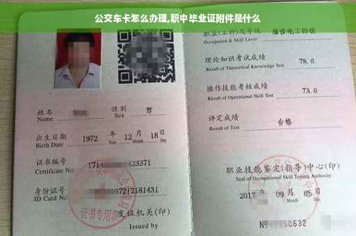 公交车卡怎么办理,职中毕业证附件是什么