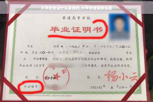 大学毕业证什么发放的,大学毕业证怎么发