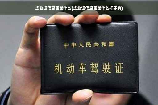 毕业证信息表是什么(毕业证信息表是什么样子的)