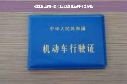 双毕业证有什么用处,双毕业证有什么好处