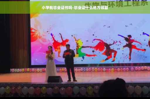小学有毕业证书吗-毕业证什么地方领取
