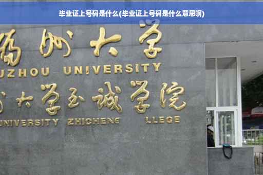 毕业证上号码是什么(毕业证上号码是什么意思啊)
