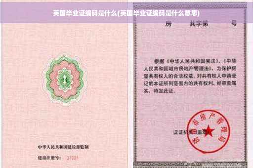 英国毕业证编码是什么(英国毕业证编码是什么意思)
