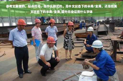 参考文献里的，标点符号，是什么格式的。是中文状态下的半角/全角，还是在英文状态下的半角/全角,国外毕业证用什么字体