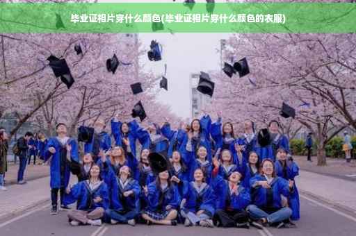 毕业证相片穿什么颜色(毕业证相片穿什么颜色的衣服)
