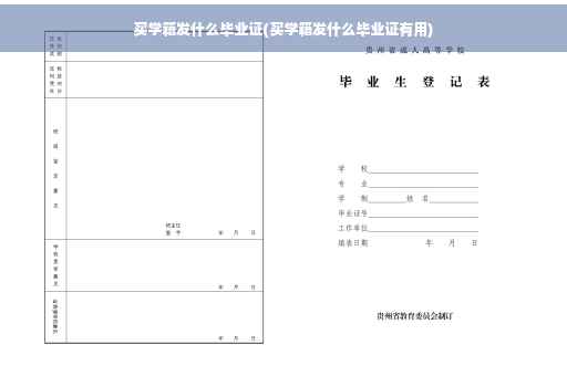 买学籍发什么毕业证(买学籍发什么毕业证有用)