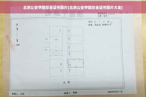 北京公安学院毕业证书图片(北京公安学院毕业证书图片大全)