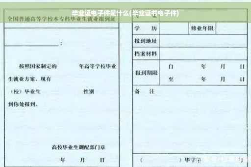 毕业证电子件是什么(毕业证书电子件)
