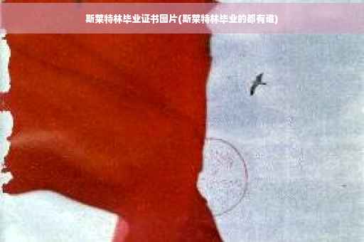 斯莱特林毕业证书图片(斯莱特林毕业的都有谁)