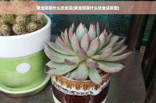 就业班是什么毕业证(就业班是什么毕业证类型)