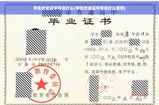 学生毕业证字号是什么(学生毕业证字号是什么意思)