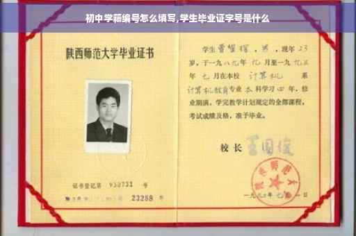 初中学籍编号怎么填写,学生毕业证字号是什么